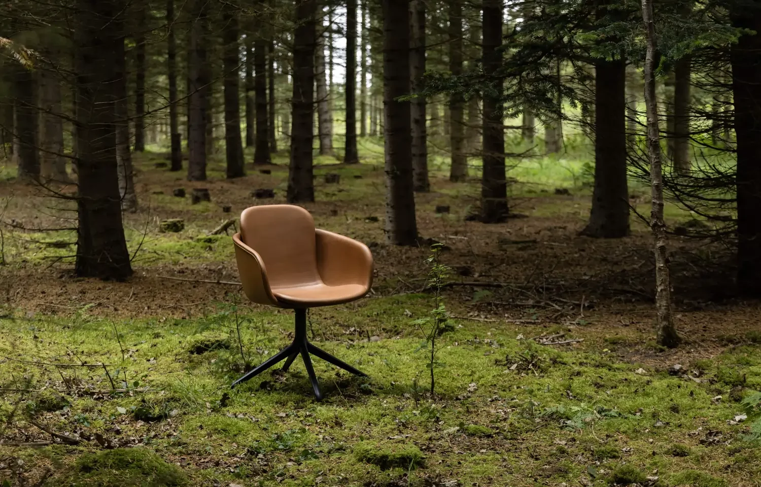 Chair no. One S2 Safari Chair No. One S2S